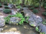 Garvan Woodland Gardens - Hot Springs Botanical Gardens